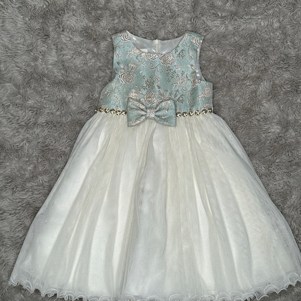 Princess Cut Tulle Dress